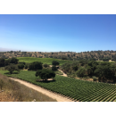 MER SOLEIL Santa Lucia Highl. Reserve Chardonnay 2023 - 0,75 Liter -