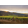 MER SOLEIL Santa Lucia Highl. Reserve Chardonnay 2023 - 0,75 Liter -