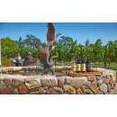 DUCKHORN Decoy California Merlot 2022 - 0,75 Liter - 93 Wine Enthusiast