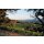 DUCKHORN Decoy California Merlot 2022 - 0,75 Liter - 93 Wine Enthusiast