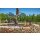 DUCKHORN Decoy California Merlot 2022 - 0,75 Liter - 93 Wine Enthusiast