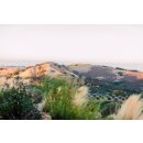 DAOU Vineyards  Discovery Chardonnay 2022  0,375 Liter - 89 Points Wine Enthusiast