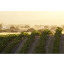 ESTRELLA California Chardonnay 2023 1,5 Liter