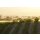 ESTRELLA California Chardonnay 2023 1,5 Liter