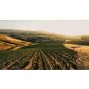 GLORIA FERRER  Blanc de Noirs  LOT 517 - 0,75 Liter - 90...
