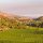 DUCKHORN Napa Valley Merlot  2022  0,75 Liter - 92 Wine Spectator/92 James Suckling