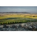DUCKHORN Washington State CANVASBACK Cabernet Sauvignon...