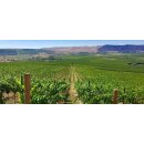 DUCKHORN Washington State CANVASBACK Cabernet Sauvignon 2021  0,75 Liter - 92 Points Jeb Suckling/92 Decanter
