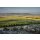 DUCKHORN Washington State CANVASBACK Cabernet Sauvignon 2021  0,75 Liter - 92 Points Jeb Suckling/92 Decanter