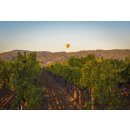 CAYMUS California Zinfandel 2022  0,75 Liter
