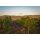 CAYMUS California Zinfandel 2022  0,75 Liter