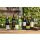 CAYMUS California Zinfandel 2022  0,75 Liter
