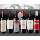 AUSTIN HOPE TROUBLEMAKER B17 Red Rhone Blend - 0,75 Liter -