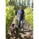 LIBERTY SCHOOL Paso Robles Cabernet Sauvignon 2022 - 0,75...
