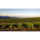 CAYMUS Napa Valley Cabernet Sauvignon 2023  0,375 Liter