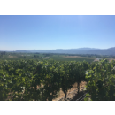 CAYMUS Napa Valley Cabernet Sauvignon 2023  3 Liter-