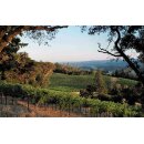 DUCKHORN Decoy California - Cabernet Sauvignon 2022 - 3 Liter - 93 Points Wine Enthusiast