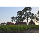 AUSTIN HOPE Paso Robles Cabernet Sauvignon 2022 - 1,5 Liter -