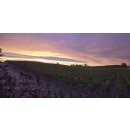 AUSTIN HOPE Paso Robles Cabernet Sauvignon 2022 - 1,5 Liter -