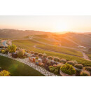 DAOU Vineyards - PATRIMONY - CAVES DES LIONS 2021 - 0,75l - 97 Points James Suckling, 96 Points Robert Parker`s Wine Advocate