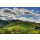 DAOU Vineyards - PATRIMONY - CAVES DES LIONS 2021 - 0,75l - 97 Points James Suckling, 96 Points Robert Parker`s Wine Advocate