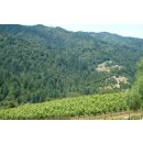 DOMAINE EDEN -Mount Eden Viney.- Pinot Noir  2021 - 0,75...