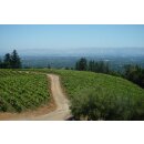 DOMAINE EDEN -Mount Eden Viney.- Pinot Noir  2021 - 0,75 Liter - 94  Jeb Dunnuck /93 Wine Enthusiast