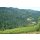 DOMAINE EDEN -Mount Eden Viney.- Pinot Noir  2021 - 0,75 Liter - 94  Jeb Dunnuck /93 Wine Enthusiast