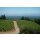 DOMAINE EDEN -Mount Eden Viney.- Pinot Noir  2021 - 0,75 Liter - 94  Jeb Dunnuck /93 Wine Enthusiast