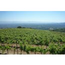 MOUNT EDEN Estate Chardonnay 2021 - 0,75 Liter - 96 Jeb Dunnuck/ 94 Robert Parker`s Wine Advocate