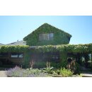 MOUNT EDEN Estate Chardonnay 2021 - 0,75 Liter - 96 Jeb Dunnuck/ 94 Robert Parker`s Wine Advocate