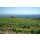 MOUNT EDEN Estate Chardonnay 2021 - 0,75 Liter - 96 Jeb Dunnuck/ 94 Robert Parker`s Wine Advocate