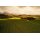FREEMARK ABBEY Napa Valley  Chardonnay 2023  0,75 Liter - 94 Points James Suckling