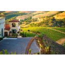 DAOU Vineyards - Cabernet Sauvignon 2018 -1,5 Liter - 92...
