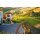 DAOU Vineyards - Cabernet Sauvignon 2018 -1,5 Liter - 92 Points R. Parker`s Wine Advocate