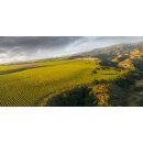 HAHN Santa Lucia Highlands SLH Pinot Noir 2023 - 0,75 Liter