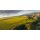 HAHN Santa Lucia Highlands SLH Pinot Noir 2023 - 0,75 Liter