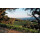 DUCKHORN Decoy California Zinfandel 2022 - 0,75 Liter
