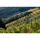 HESS COLLECTION ALLOMI Cabernet Sauvignon 2022 - 0,75 Liter - 91 Points J. Suckling
