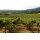 HESS COLLECTION Napa Valley Chardonnay 2022 -  0,75 Liter - 91 J. Suckling