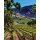 SHAFER One Point Five Cabernet Sauvignon 2021 - 0,75 Liter - 96 Points Wine Enthusiast/ 94 J.Suckling/ 96 J. Dunnuck