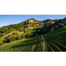 SHAFER Hillside Select Cabernet Sauvignon 2021 - 1,5 Liter-  99 Points Decanter/99 J. Suckling/ 99 R. Parker