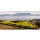 CAYMUS SEA SUN California Pinot Noir 2024 - 0,75 Liter