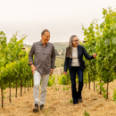 GRGICH HILLS ESTATE Napa Valley Chardonnay 2023 - 0,75 Liter - 93 Points Decanter/92 James Suckling/