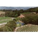 DIAMOND CREEK Red Rock Terrace 2017 - 0,75 Liter - 95+ Points R. Parkers Wine Advocate/97 James Suckling/94 Wine Spectator